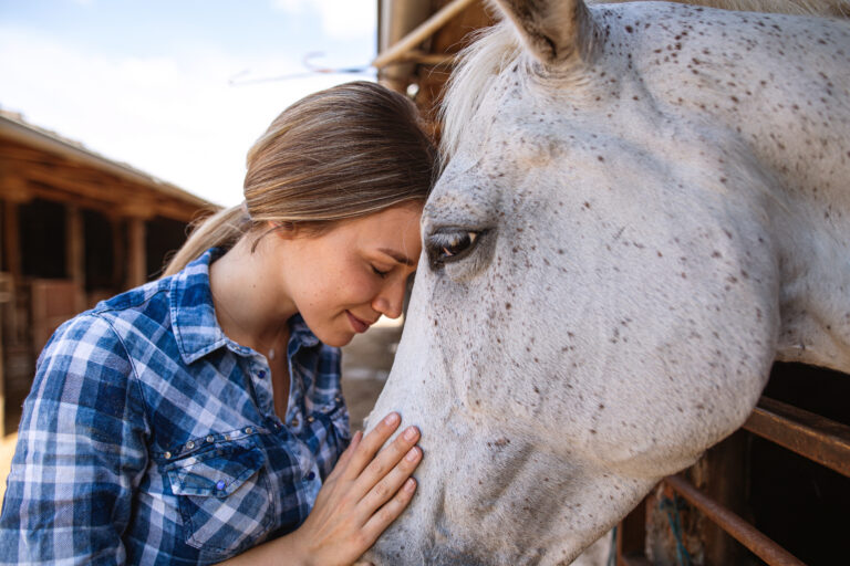 chiropractic care for senior horses